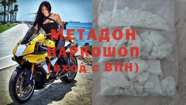 сатива Алзамай