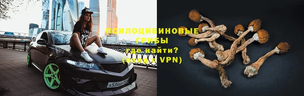 тгк Алексин