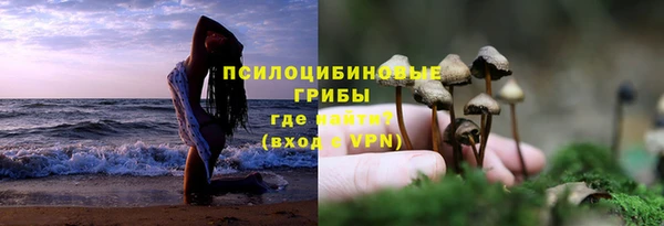 сатива Алзамай