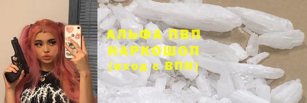 сатива Алзамай