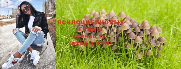тгк Алексин