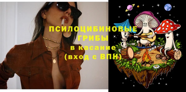 шишки Алексеевка