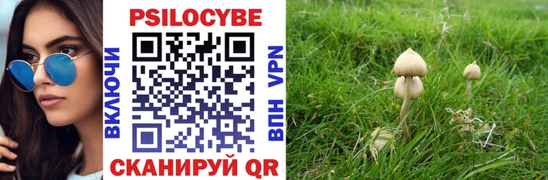 Псилоцибиновые грибы GOLDEN TEACHER  Тула 