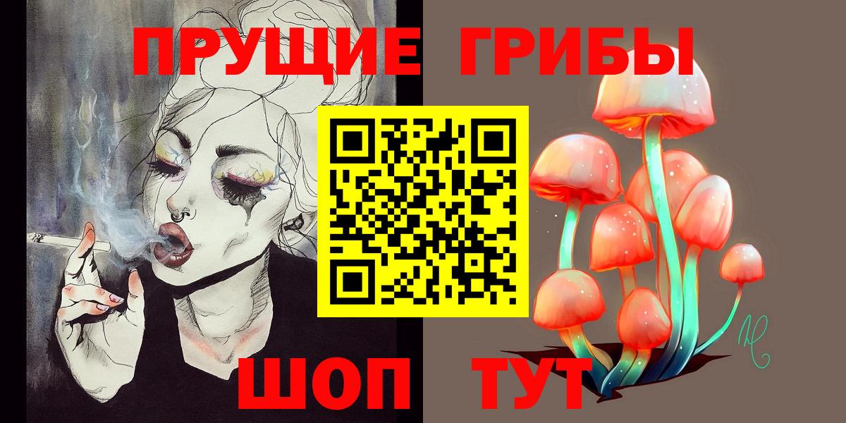 закладка  Псилоцибиновые грибы Psilocybe  Тула  Вход с VPN  Псилоцибиновые грибы Psilocybe 